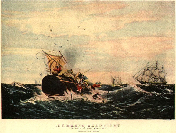 Book cover of Into the Heart of the Sea by Nathaniel Philbrick.