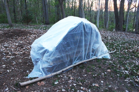 A shelter covering with plastic sheet in forest. 